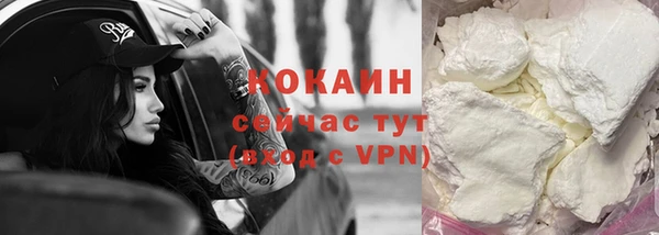 стаф Медногорск
